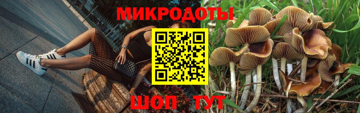 цены наркотик  Вход с VPN  Заринск  Галлюциногенные грибы прущие грибы 